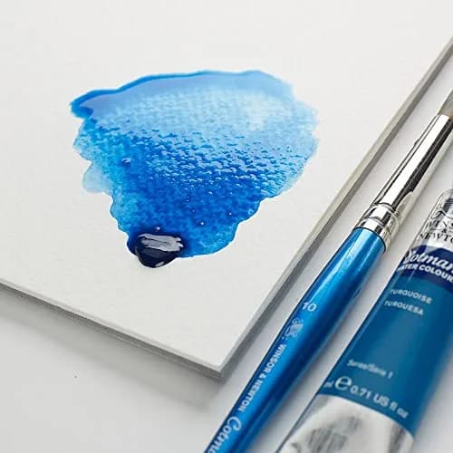 Winsor & Newton Cotman Series 111 Round Brush #000 (0.5 cm x 18.5 cm x 0.5 cm) | Fine Detail Watercolor Brush thumbnail 2