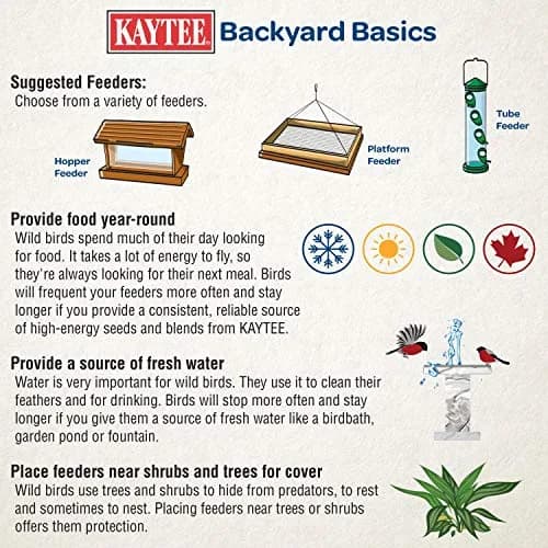 Kaytee Hummingbird ElectroNectar 64 oz | Hydrating Wild Bird Food with Electrolytes thumbnail 5