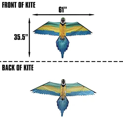 WindNSun Rainforest Nylon Kite, Macaw, 60 Inches Wide | Durable Fiberglass & Ripstop Nylon thumbnail 4