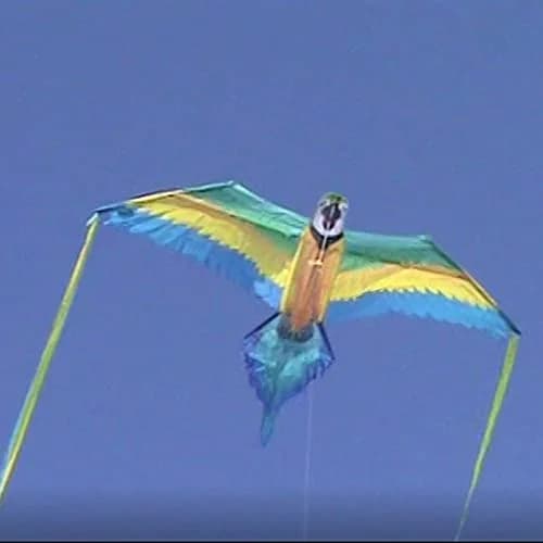 WindNSun Rainforest Nylon Kite, Macaw, 60 Inches Wide | Durable Fiberglass & Ripstop Nylon thumbnail 7