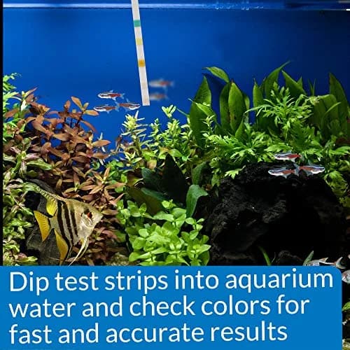 API 5-IN-1 TEST STRIPS for Aquarium Water | Accurate Freshwater & Saltwater Testing thumbnail 6