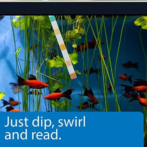 API 5-IN-1 TEST STRIPS for Aquarium Water | Accurate Freshwater & Saltwater Testing thumbnail 3