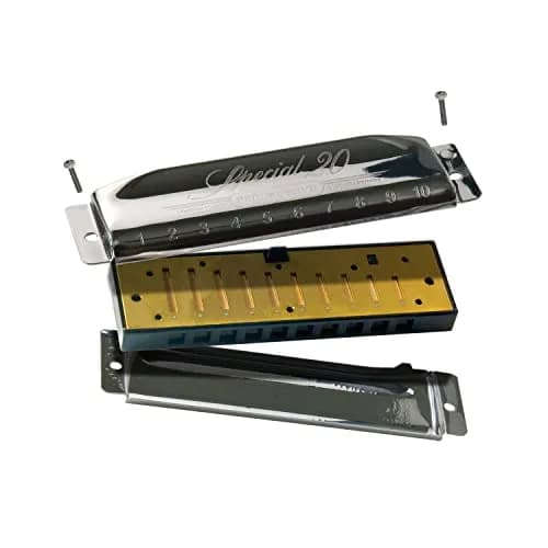 Hohner Special 20 Harmonica, 10 Holes Major C Bundle with Hard Case & Juliet Music Polishing Cloth | German Quality Craftsmanship thumbnail 6
