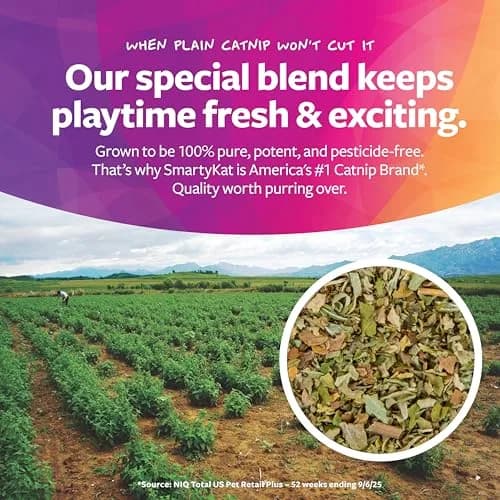 SmartyKat Natural Pure & Potent Catnip Attractant 2 oz (56.7 g) | Stimulating Training Aid for Cats & Kittens thumbnail 4