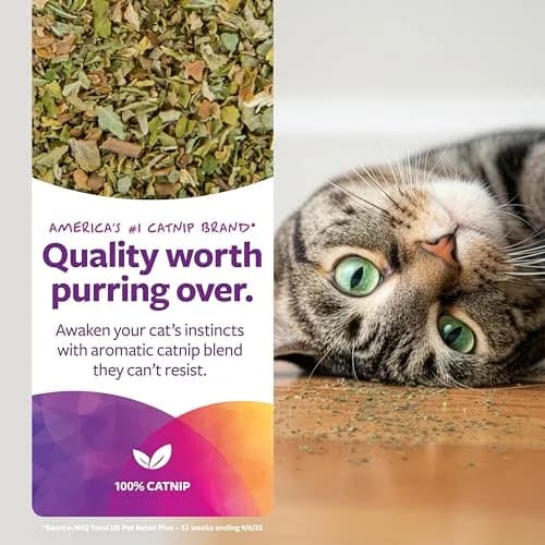SmartyKat Natural Pure & Potent Catnip Attractant 2 oz (56.7 g) | Stimulating Training Aid for Cats & Kittens thumbnail 2