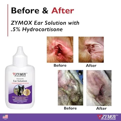 Zymox Enzymatic Ear Solution with 0.5% Hydrocortisone | Ear Care for Dogs & Cats, 1.25 oz thumbnail 4