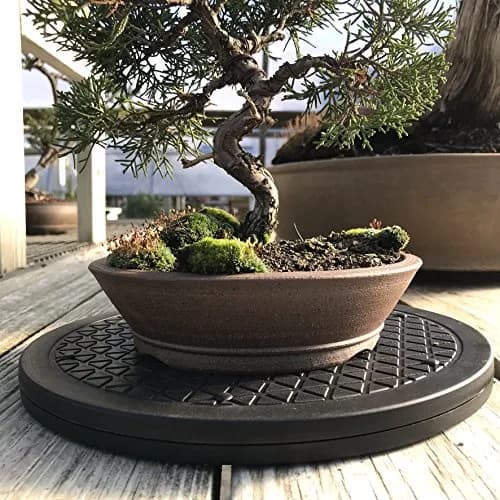 Mighty Mini Bonsai Tree Turntable 12.5 inch (31.75 cm) Base | Smooth 360-Degree Rotation for Easy Pruning & Display thumbnail 4
