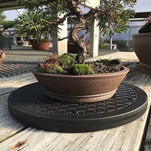 Mighty Mini Bonsai Tree Turntable 12.5 inch (31.75 cm) Base | Smooth 360-Degree Rotation for Easy Pruning & Display thumbnail 5