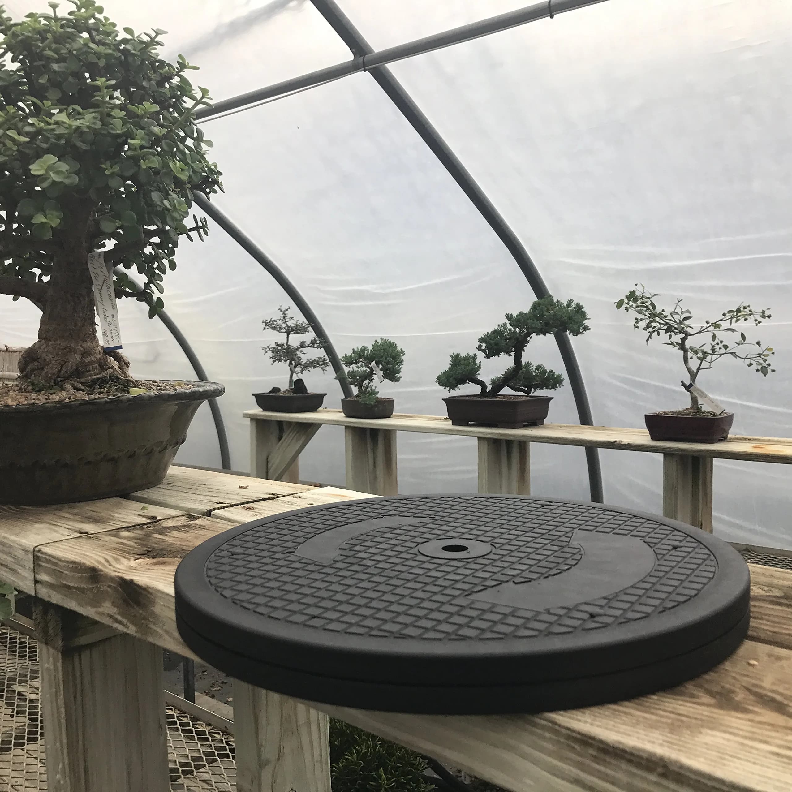 Mighty Mini Bonsai Tree Turntable 12.5 inch (31.75 cm) Base | Smooth 360-Degree Rotation for Easy Pruning & Display - view 2