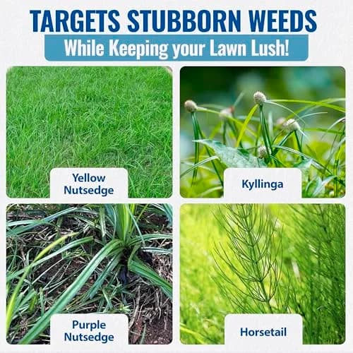SEDGEHAMMER Sedgehammer Plus Turf Herbicide 13.5g | Nutsedge Killer for Lawns, Selective Weed Control thumbnail 4