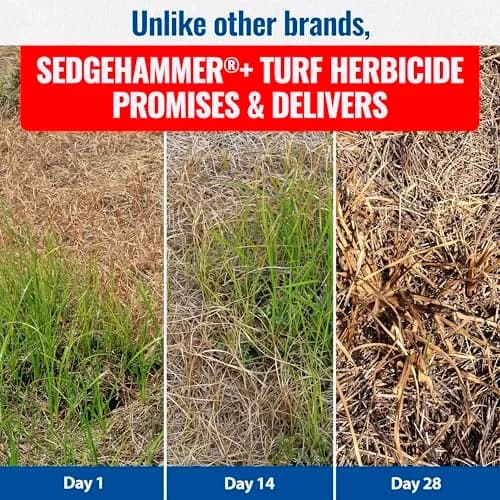 SEDGEHAMMER Sedgehammer Plus Turf Herbicide 13.5g | Selective Nutsedge Killer for Lawns thumbnail 5