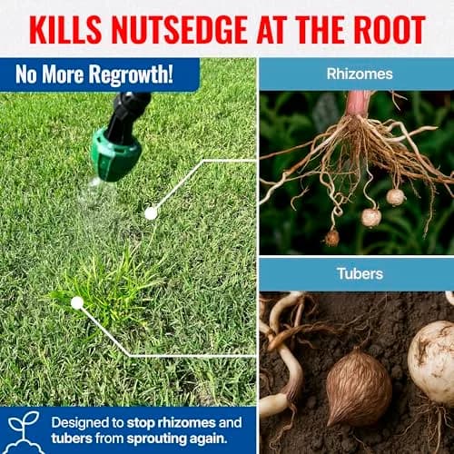 SEDGEHAMMER Sedgehammer Plus Turf Herbicide 13.5g | Selective Nutsedge Killer for Lawns thumbnail 6