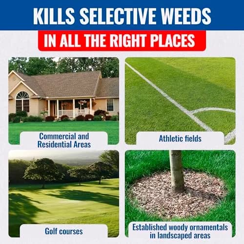 SEDGEHAMMER Sedgehammer Plus Turf Herbicide 13.5g | Selective Nutsedge Killer for Lawns thumbnail 7