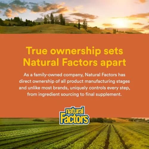 Natural Factors CurcuminRich Theracurmin 30 mg Turmeric Curcumin Capsules 60 Count | Supports Inflammation Response & Antioxidant Health thumbnail 8