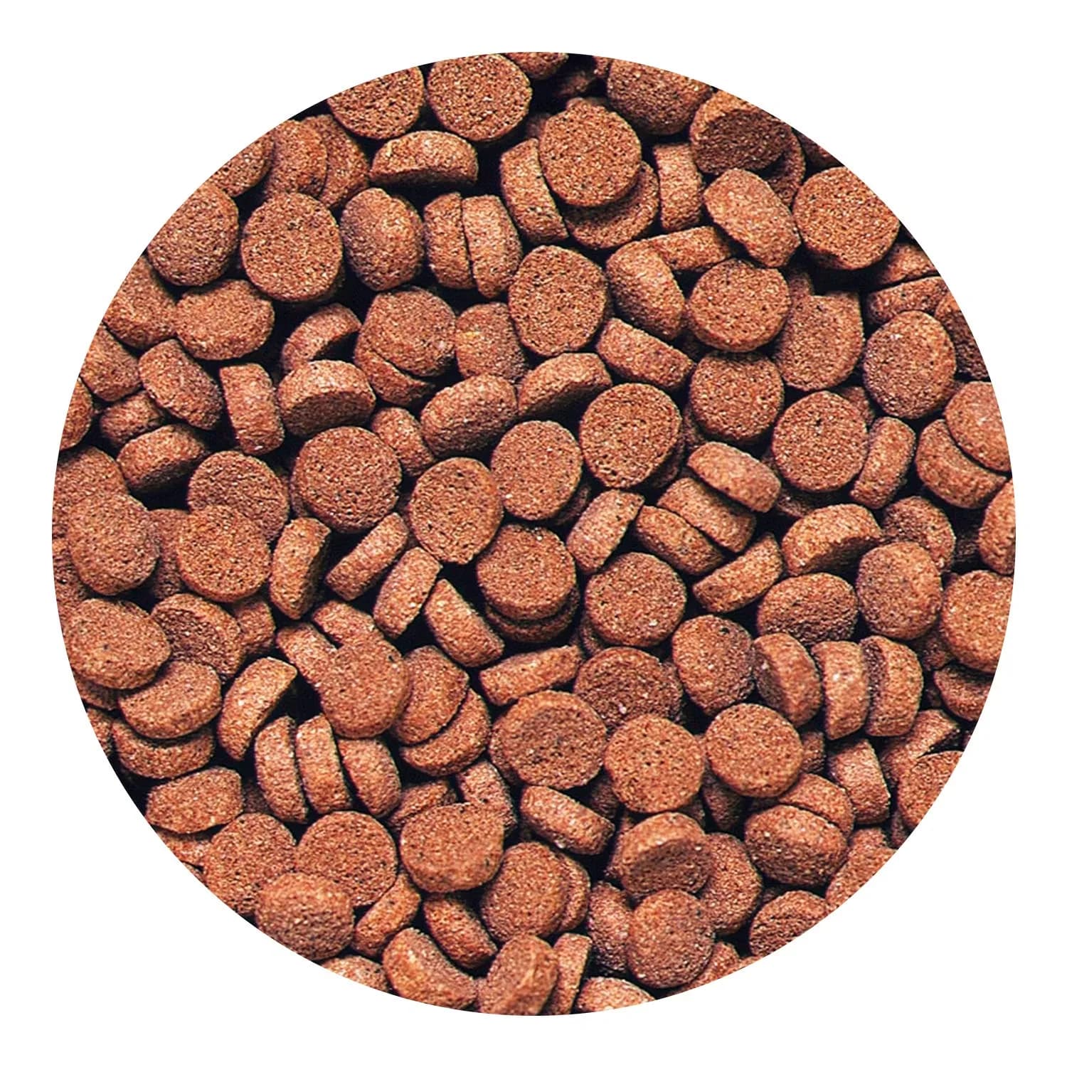 Hikari Sinking Carnivore Pellets for Pets, 74g (2.61 oz) | Balanced Diet for Large Carnivorous Fish - view 3