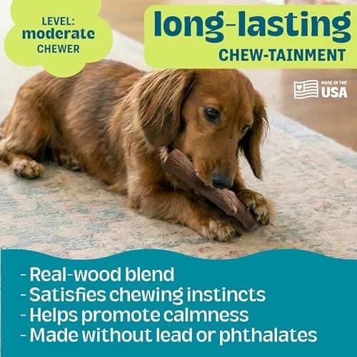 Pupstages Dogwood Stick Dog Chew Toy Small 5.4" | Real-Wood Blend for Moderate Chewers thumbnail 4