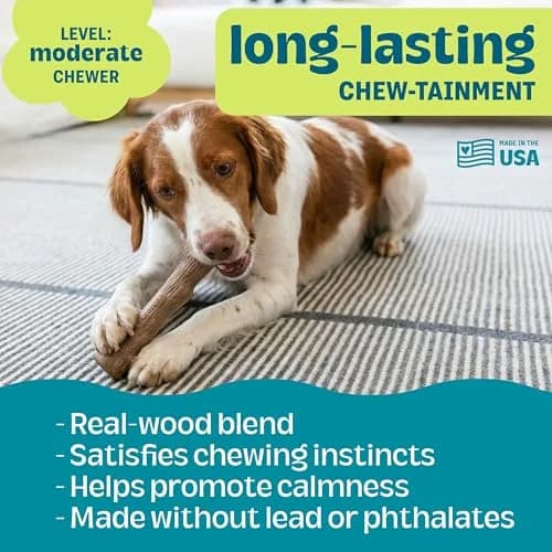 Pupstages Dogwood Stick Dog Chew Toy Medium 7.4" | Real-Wood Blend for Moderate Chewers thumbnail 4