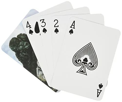 Best Nest Wellness Best Friends Playing Cards - Ruth Maystead Poodle | Standard Poker Size 3.5x2.5" thumbnail 2