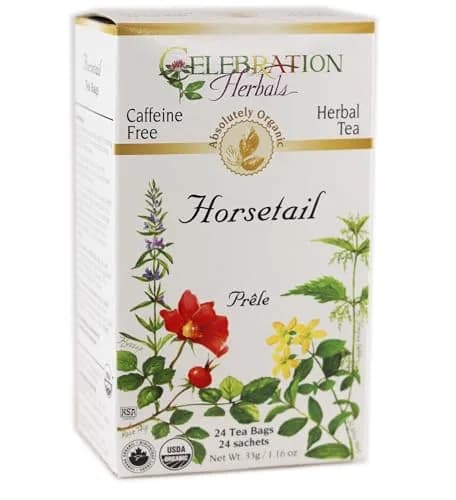 Celebration Herbals Horsetail Tea Organic 24 Bag | Ancient Herb Support in India thumbnail 1