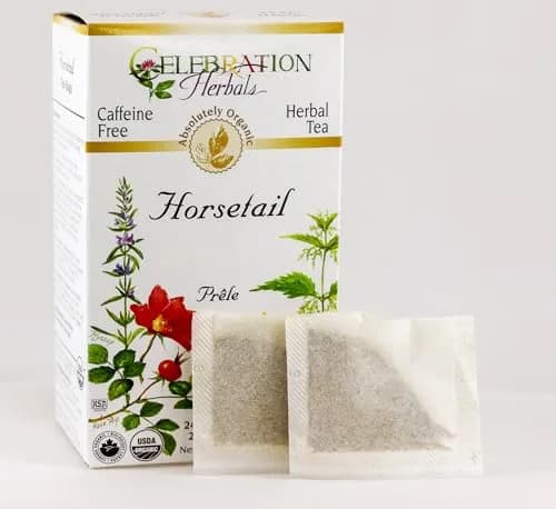 Celebration Herbals Horsetail Tea Organic 24 Bag | Ancient Herb Support in India thumbnail 2