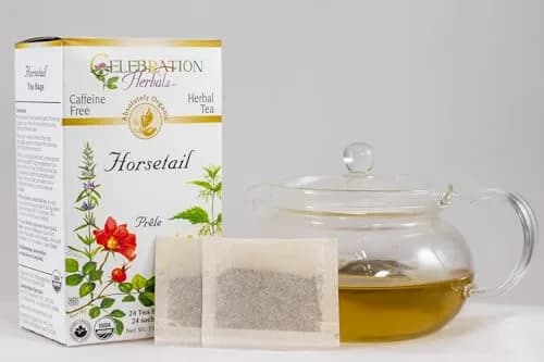 Celebration Herbals Horsetail Tea Organic 24 Bag | Ancient Herb Support in India thumbnail 3