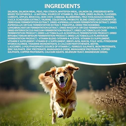 LEGACY High Protein Dog Food — Salmon First, Grain-Free, Immunity Support, All Life Stages, 11.34kg (25 lb) thumbnail 5