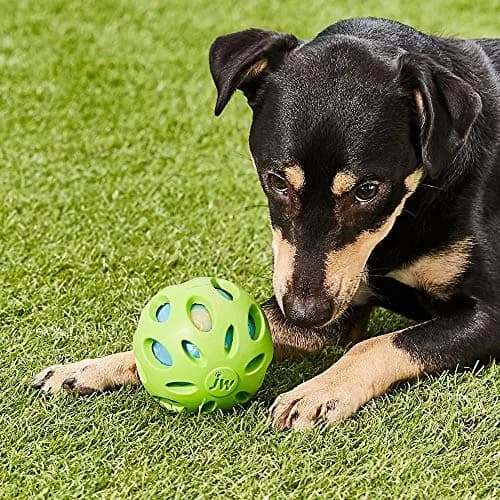 JW Pet Crackle Heads Crunchy Chew Fetch Toy for Dogs, Large 4in | Durable Rubber & Recyclable Plastic thumbnail 2