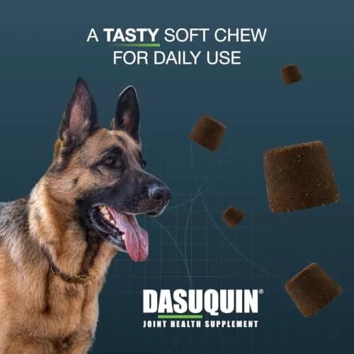 Nutramax Dasuquin MSM Joint Supplement for Large Dogs 150ct | Supports Healthy Joints & Cartilage thumbnail 5