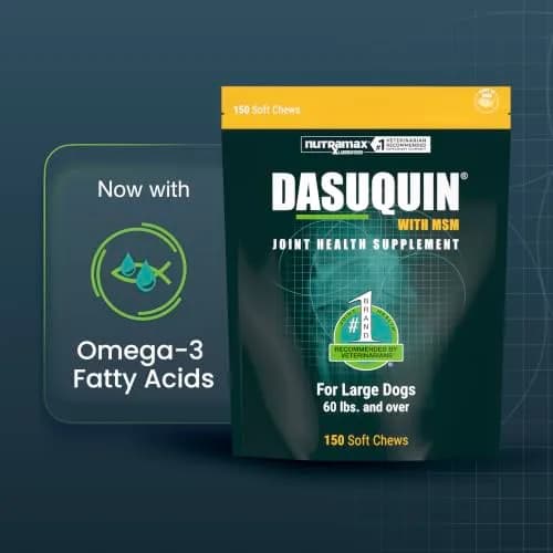 Nutramax Dasuquin MSM Joint Supplement for Large Dogs 150ct | Supports Healthy Joints & Cartilage thumbnail 2