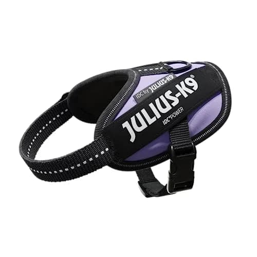 Julius-K9 IDC Powerharness Dog Harness Baby 2 (2XS) Purple | No-Pull Control for Small Dogs thumbnail 1