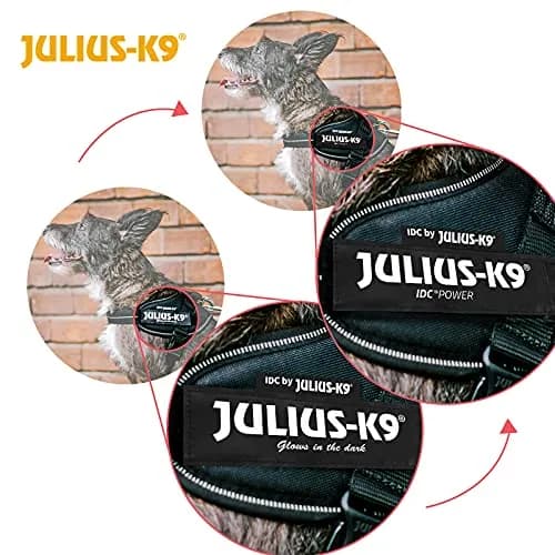 Julius-K9 IDC Powerharness Dog Harness Baby 2 (2XS) Purple | No-Pull Control for Small Dogs thumbnail 3