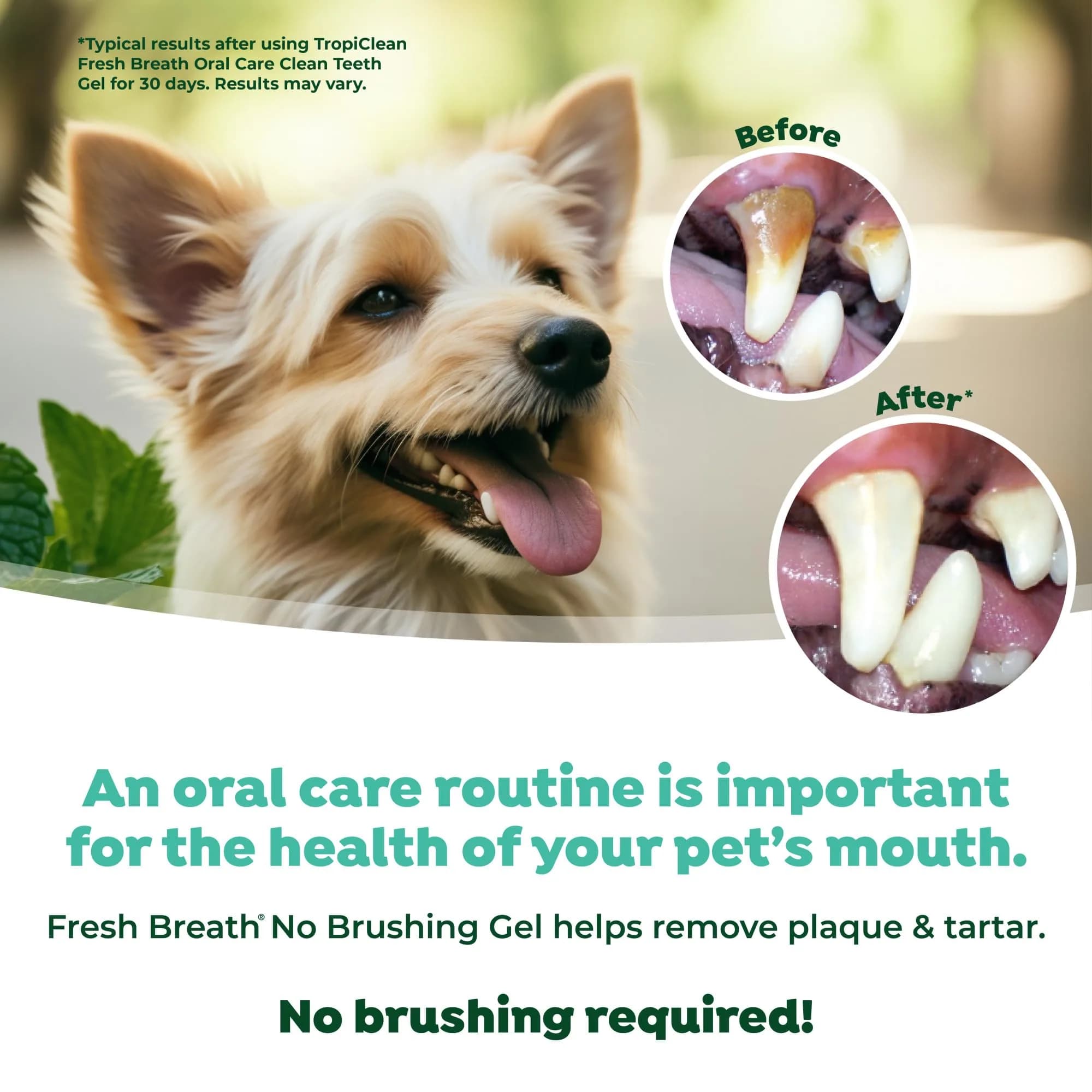 TropiClean Clean Teeth Gel for Dogs | Dog Dental Care | Breath Freshener | 59ml (2 Fl Oz) | Supports Oral Health - view 5