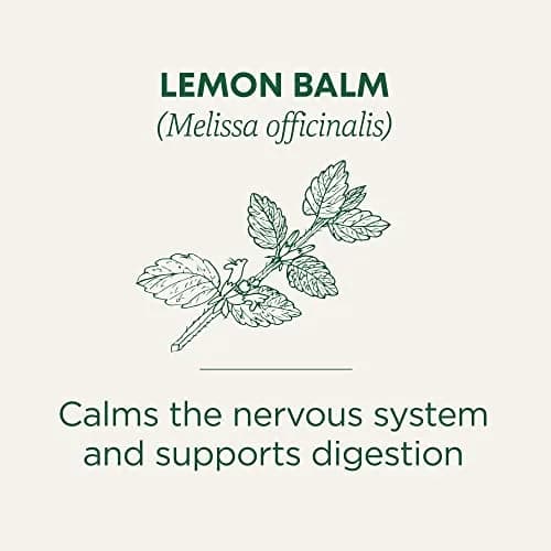 Traditional Medicinals Organic Lemon Balm Tea 16 Count (0.85 oz) | Supports Stress Relief & Digestive Health thumbnail 2