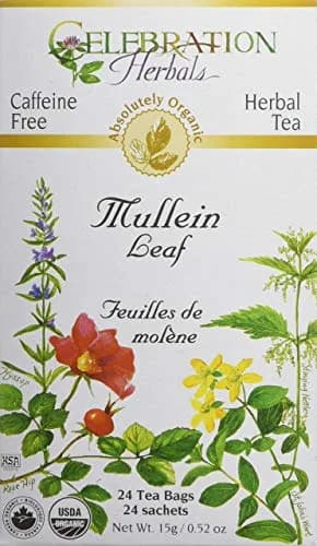 Celebration Herbals Organic Mullein Leaf Tea Bags 24 Count | Herbal Tea for Respiratory Support in India thumbnail 1