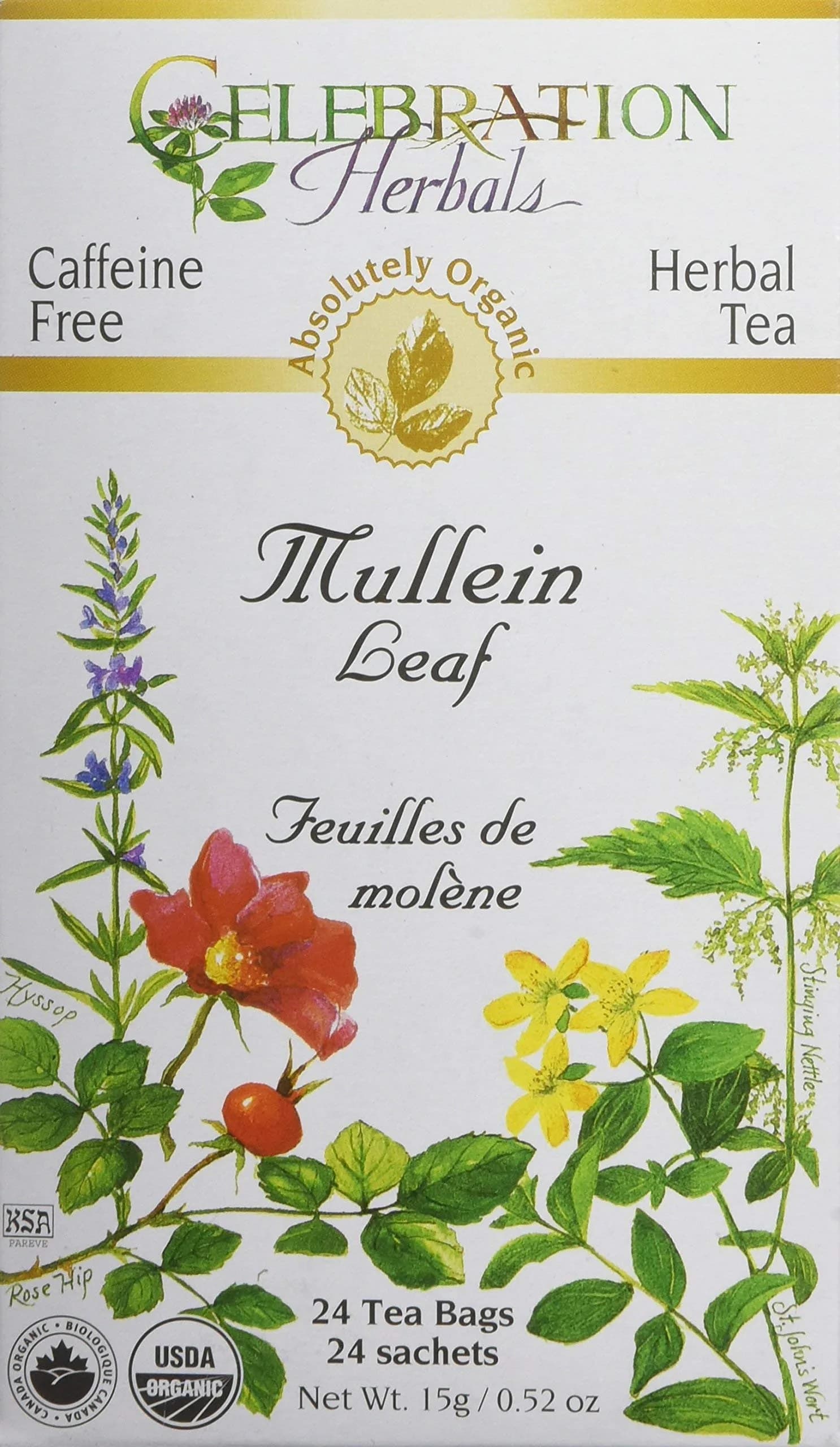 Celebration Herbals Organic Mullein Leaf Tea Bags 24 Count | Herbal Tea for Respiratory Support in India — Multicolored