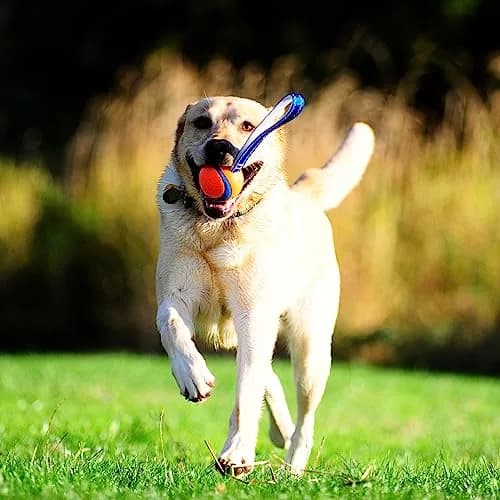 Chuckit! Ultra Tug Dog Toy Medium 2.5" (6.4 cm) | Durable Fetch & Tug Ball for Dogs 20-60lbs thumbnail 2