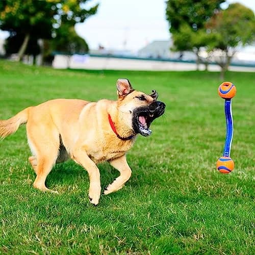 Chuckit! Ultra Duo Tug Toy for Small Dogs (0-20 lbs) | Durable Tug & Fetch Toy for Indoor/Outdoor Play thumbnail 8
