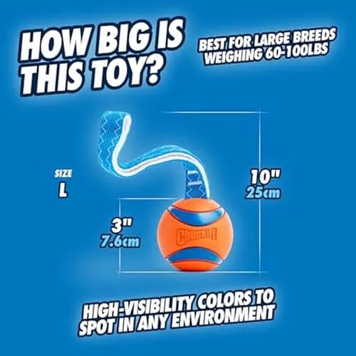 Chuckit! Ultra Tug Dog Toy, Large 3-inch Diameter, 0.1 kg (0.22 lb) | Fetch & Tug Play for Large Breeds thumbnail 4