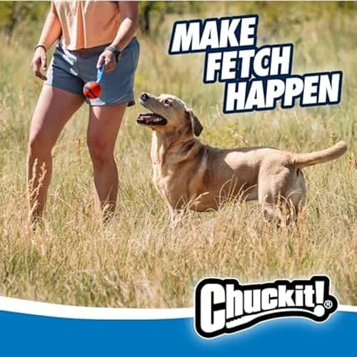 Chuckit! Ultra Tug Dog Toy, Large 3-inch Diameter, 0.1 kg (0.22 lb) | Fetch & Tug Play for Large Breeds thumbnail 3