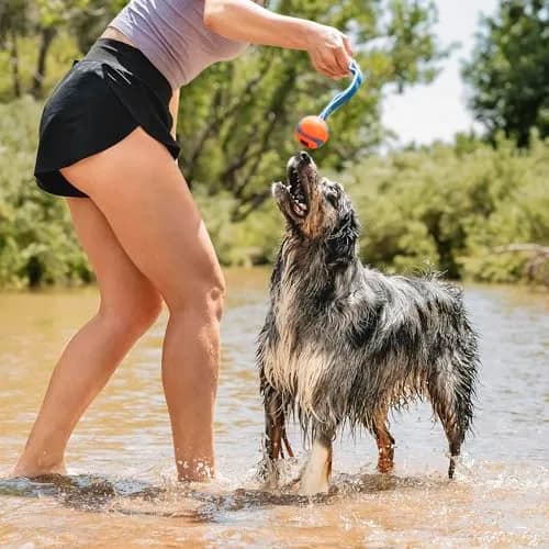 Chuckit! Ultra Duo Tug Dog Toy Medium 2.5in (6.4cm) Orange and Blue | Fetch and Tug-of-War for Dogs 20-60lbs thumbnail 2