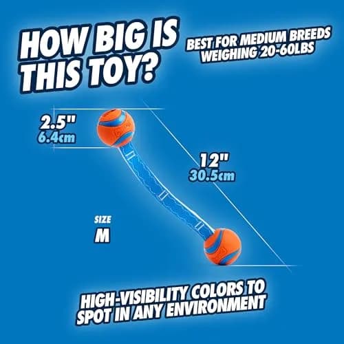 Chuckit! Ultra Duo Tug Dog Toy Medium 2.5in (6.4cm) Orange and Blue | Fetch and Tug-of-War for Dogs 20-60lbs thumbnail 3