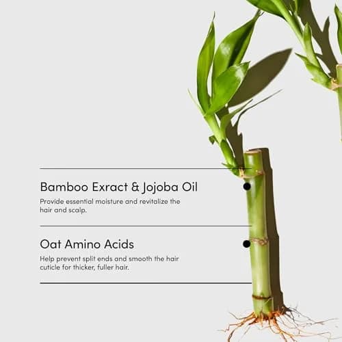 LATHER Bamboo Crème Hair Wash 8 fl oz | Revitalizes Dry, Sensitive Hair with Jojoba Oil & Essential Oils thumbnail 5
