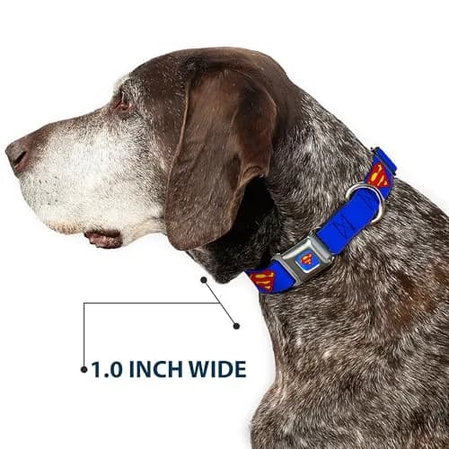 Buckle-Down Superman Seatbelt Dog Collar 15-26" | Vibrant DC Comics Artwork, Made in USA thumbnail 6