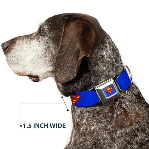 Buckle-Down Superman Seatbelt Dog Collar 15-26" | Vibrant DC Comics Artwork, Made in USA thumbnail 7