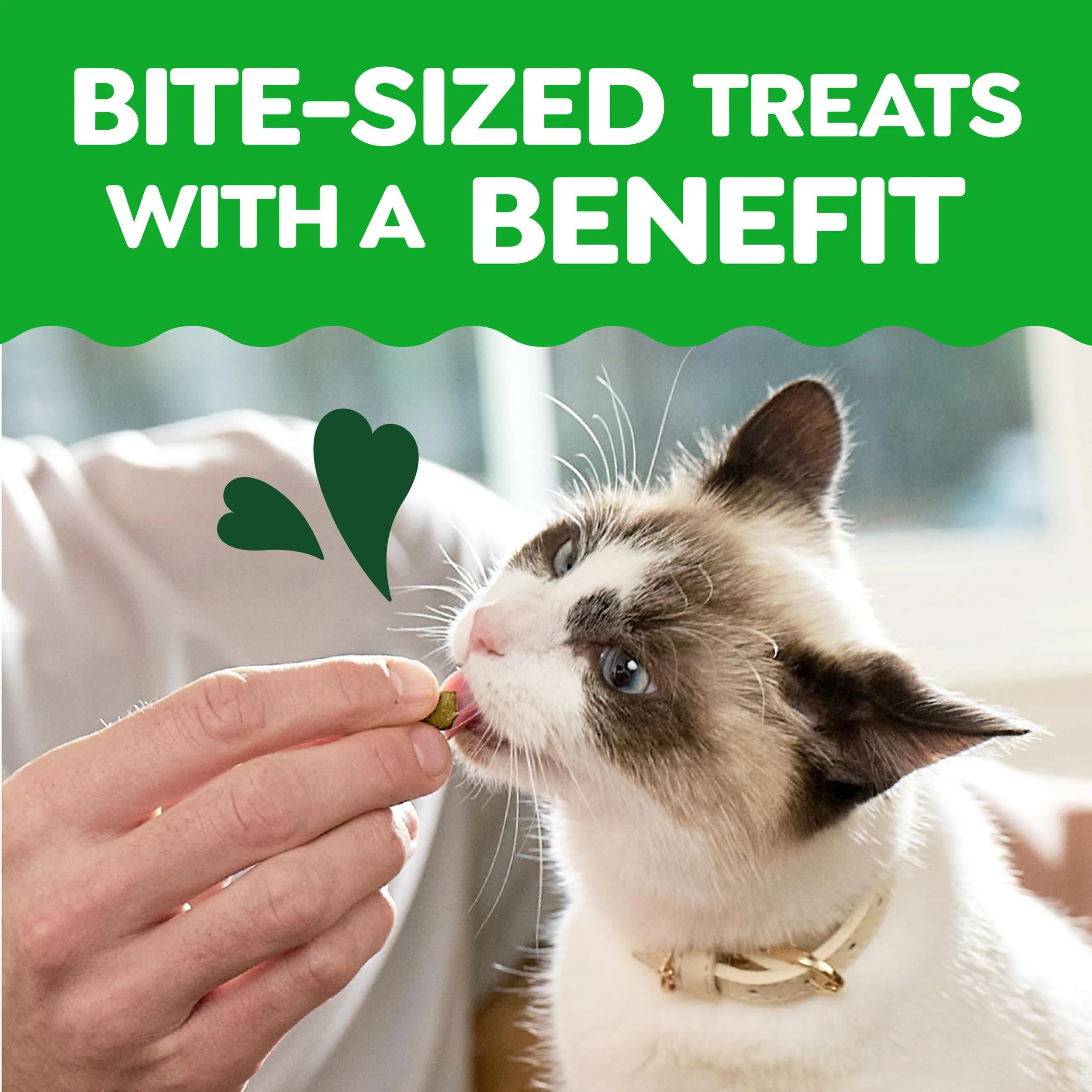Greenies Feline Smartbites Skin & Fur Health Cat Treats, Chicken, 2.1 oz (60 g) | Vet-Designed for Healthy Skin & Fur - view 6