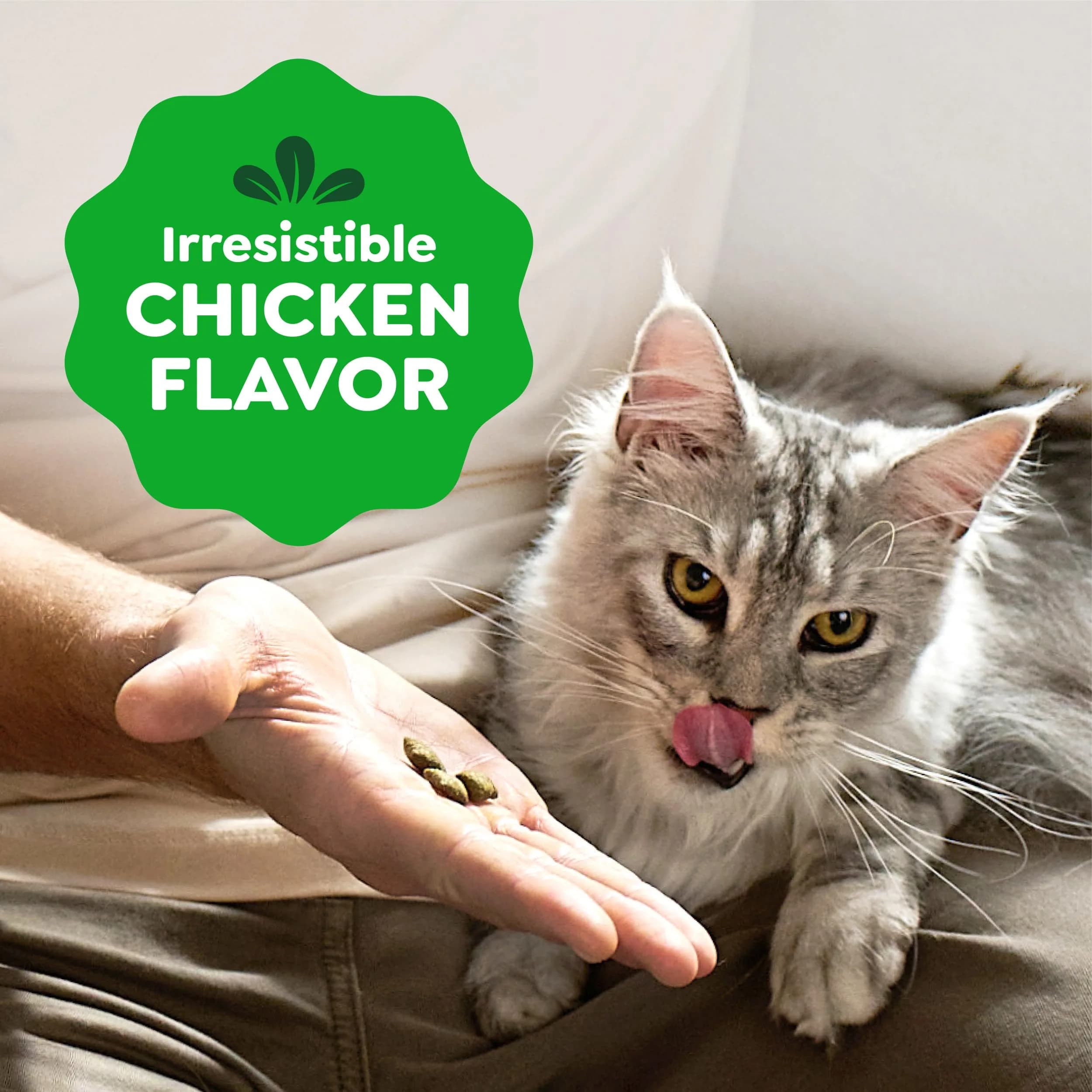 Greenies Feline Smartbites Skin & Fur Health Cat Treats, Chicken, 2.1 oz (60 g) | Vet-Designed for Healthy Skin & Fur - view 7