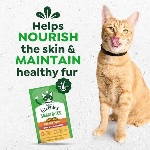 Greenies Feline Smartbites Skin & Fur Health Cat Treats, Chicken, 2.1 oz (60 g) | Vet-Designed for Healthy Skin & Fur thumbnail 2