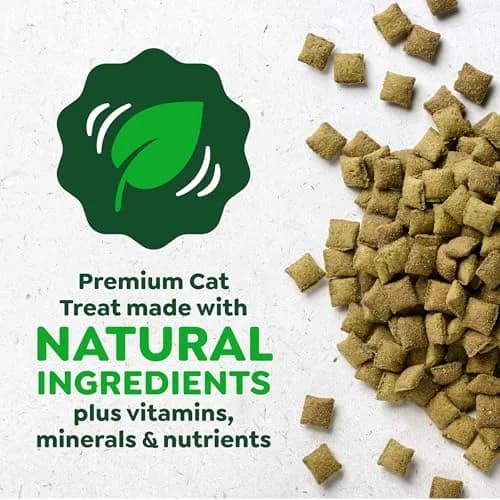 Greenies Feline Smartbites Skin & Fur Health Cat Treats, Salmon, 60g (2.1 oz) | Veterinarian-Formulated for Healthy Skin & Fur thumbnail 5