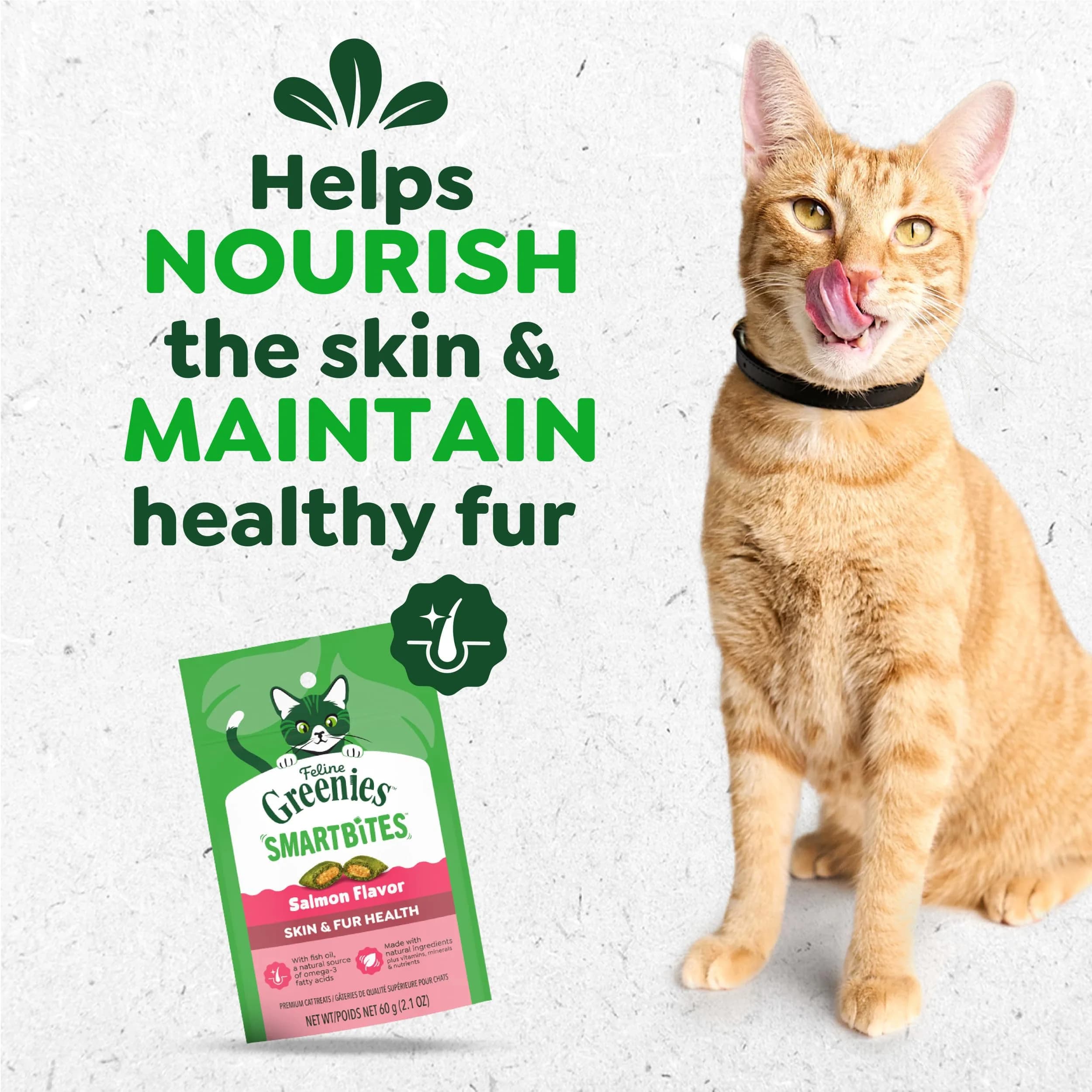 Greenies Feline Smartbites Skin & Fur Health Cat Treats, Salmon, 60g (2.1 oz) | Veterinarian-Formulated for Healthy Skin & Fur - view 2