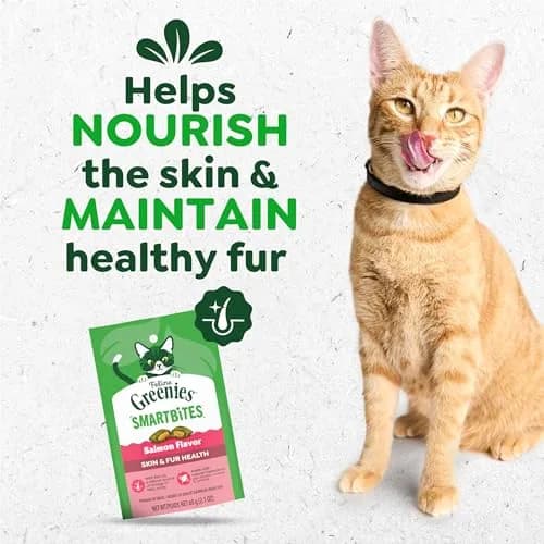 Greenies Feline Smartbites Skin & Fur Health Cat Treats, Salmon, 60g (2.1 oz) | Veterinarian-Formulated for Healthy Skin & Fur thumbnail 2